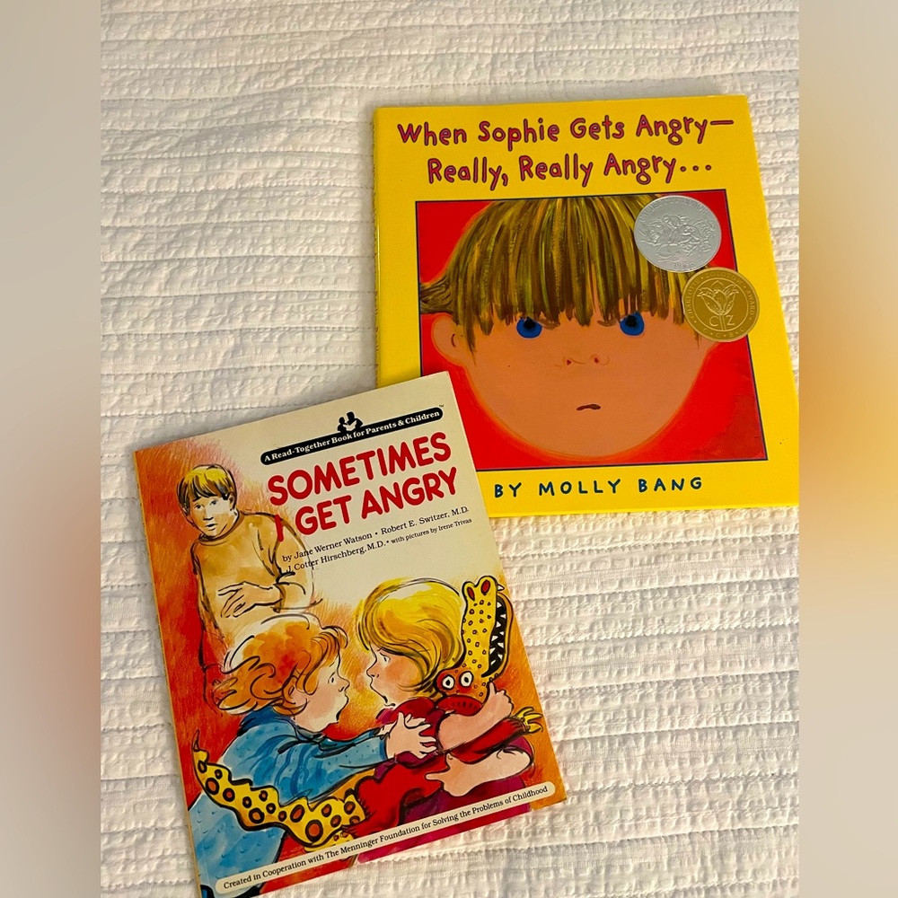 Social Emotional Learning about Feelings Anger Storybooks